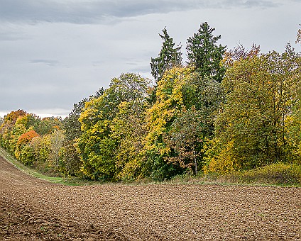 Herbst auf der Alb bei Steinhilben am 15.10.2019