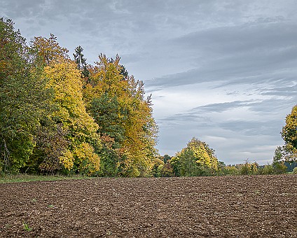 Herbst auf der Alb bei Steinhilben am 15.10.2019
