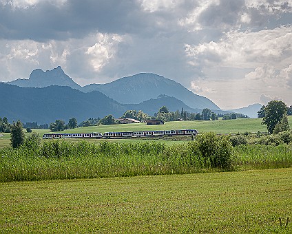 Regionalzug beim Hopfensee Aufnahme: 19.07.2019