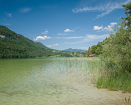 Am Weißensee bei Oberried Blick in Richtung Oberkirch; Aufnahme: 17.07.2019