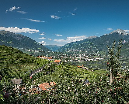 Marlinger Waalweg (20) Blick über Meran in Richtung Dorf Tirol