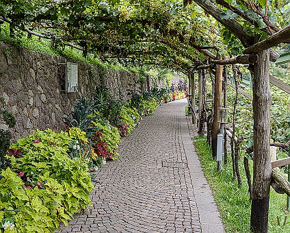 Gärten von Schloss Trauttmansdorff (2) Aufnahme: 18.09.2023