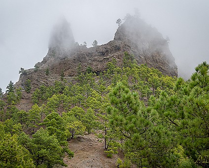 Nationalpark Caldera de Taburiente (33) auf der westlichen Seite