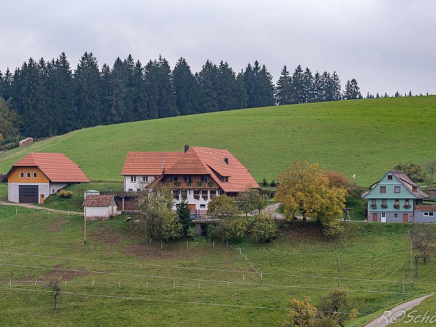 Schwarzwald Impressionen aus dem Kinzigtal und aus Triberg im Schwarzwald