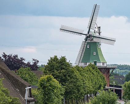Windmühle "VENTI AMICA" in Hollern-Twielenfleth am 25.06.2014