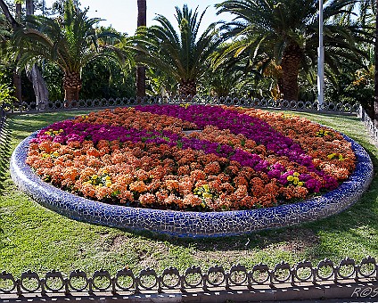 Santa Cruz de Tenerife im Parque Municipal García Sanabria